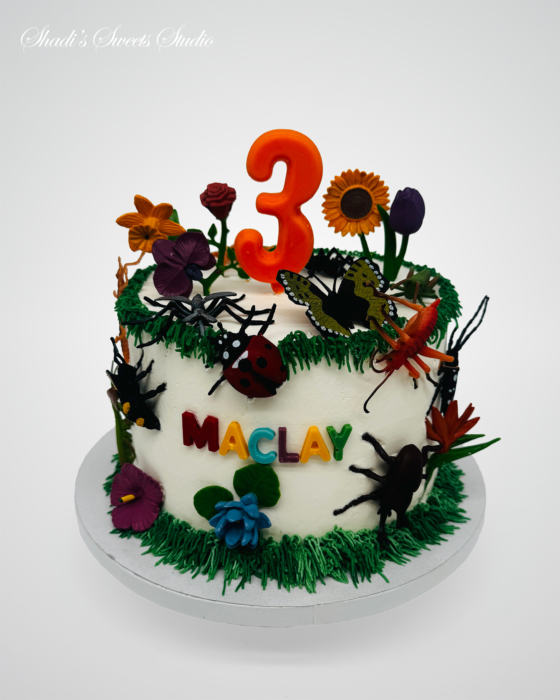 cake INSTAGRAM Layout3